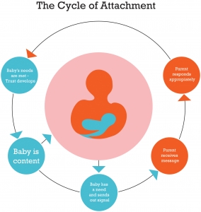 Cycle of Attachment